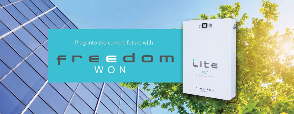 freedom lite lithium batteries philippines